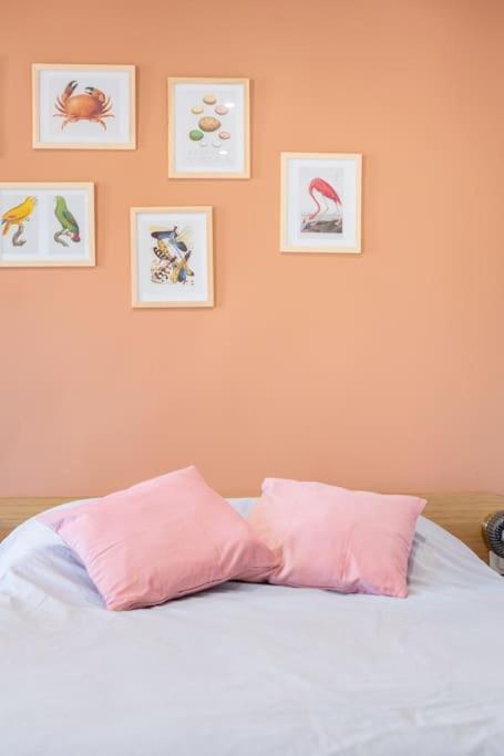 Apartment Le Cocon De Grignan